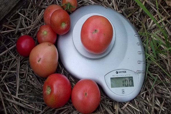 Bodykit auf der Straße