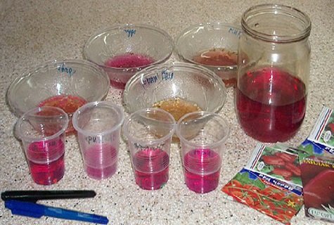 solution de permanganate de potassium