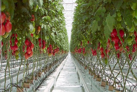 Produktionsautomatisierung