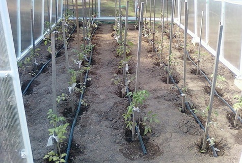 Schläuche in den Betten