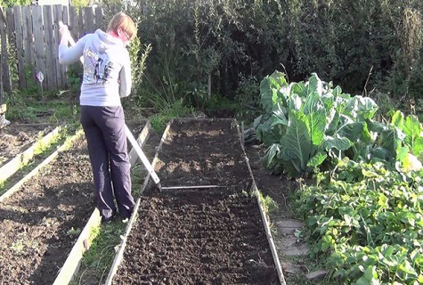 Mädchen im Blumenbeet