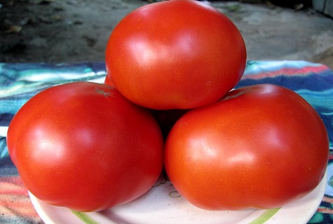 tout est dans l'assiette