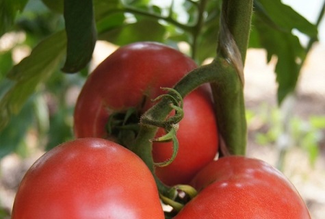 croissance professionnelle