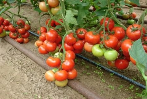 nach dem Boden greifen