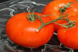 Description de la variété de tomate miel et son rendement