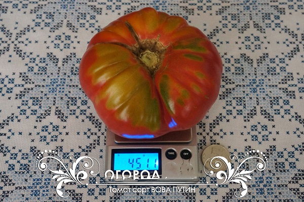 experimentelle Vielfalt