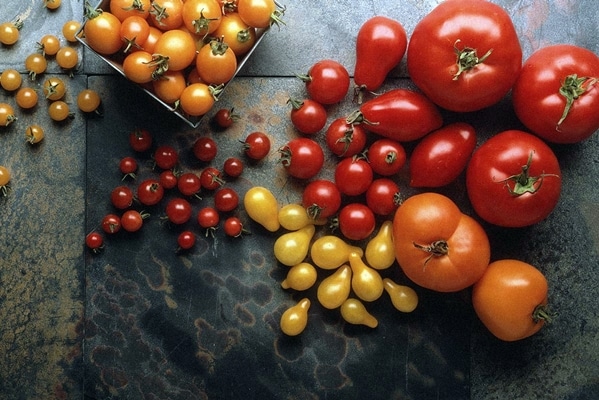 variété de tomates sur la table