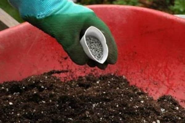 Gießen Sie das Top-Dressing