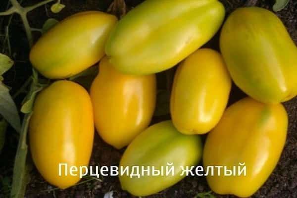 poivron jaune