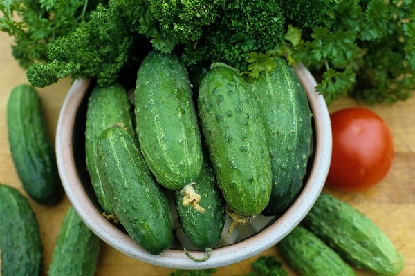 eine Schüssel Gurken