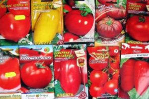 Les meilleures variétés de graines de tomates néerlandaises pour les serres et les champs ouverts