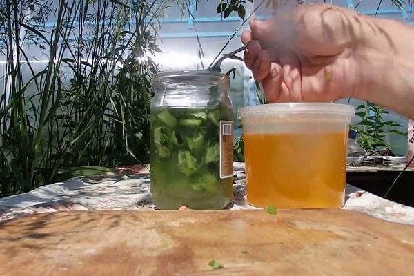 Anziehung von Insekten