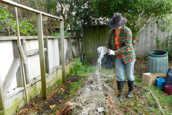 Arbeit auf der Website