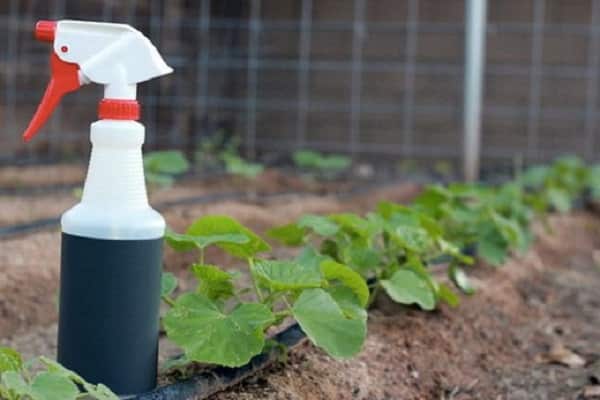 Nährstoffkomponenten