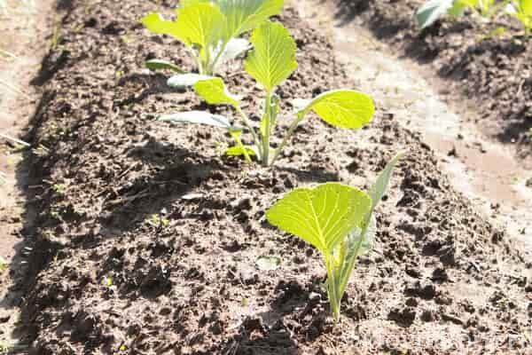 lors de l'atterrissage