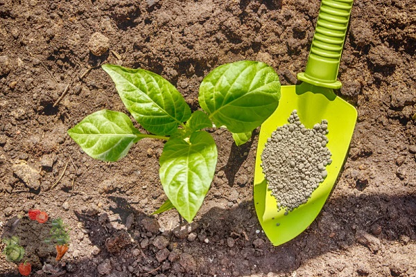 Kalium wird benötigt