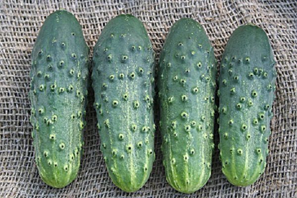 fructification précoce