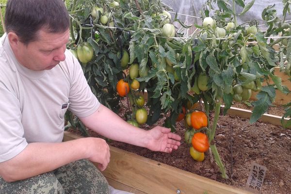 caractéristique de la variété