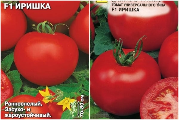 graines de tomates Irishka F1