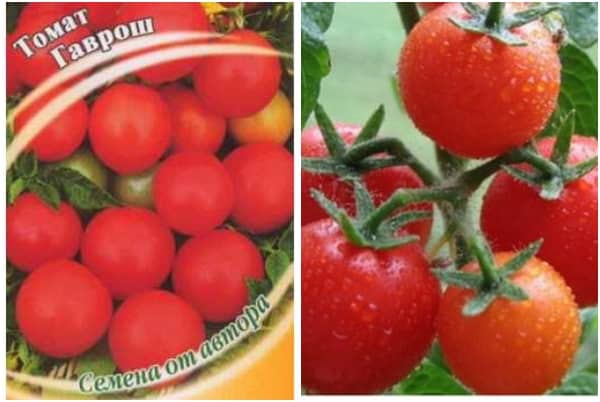 Tomaten-Gavroche