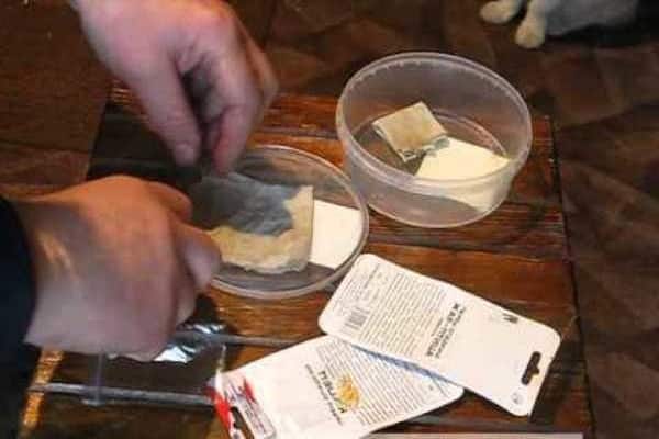 traiter les semences