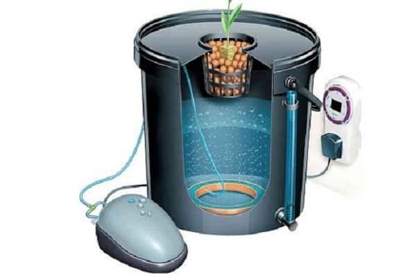 méthode hydroponique