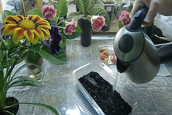 vorbereitete Behälter