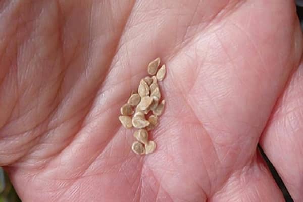 schwere Entscheidung