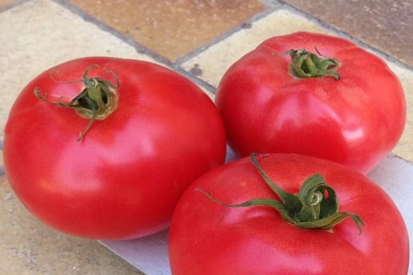 early and early maturing