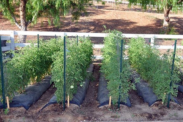 Méthode de la tapisserie