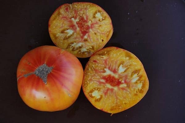 Blätter sind dunkelgrün