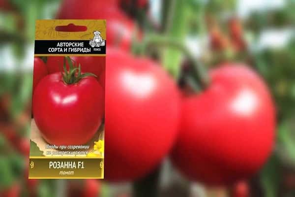 flétrissement verticillaire