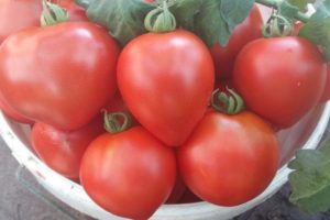 Beschreibung der Tomatensorte Roter Zucker und ihre Eigenschaften