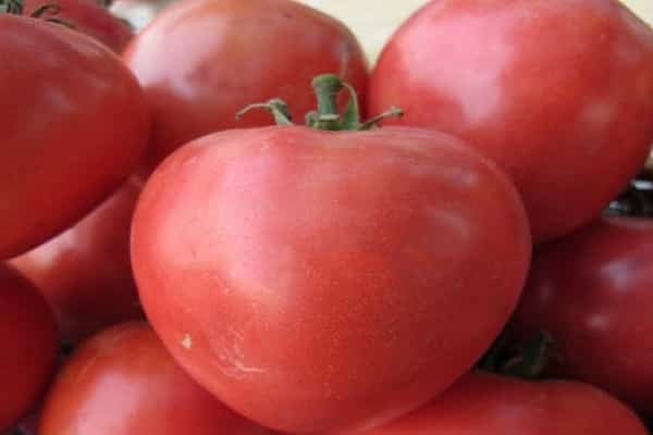 sous la forme d'un coeur