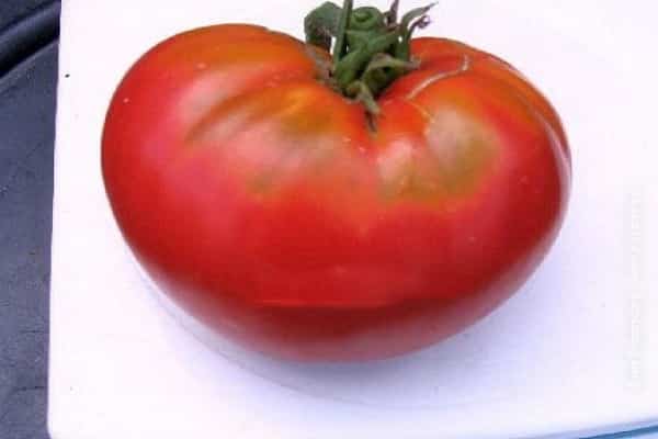 variété sans prétention