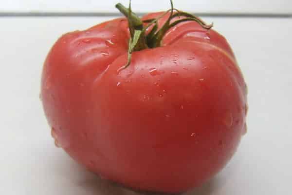Tomate de Sibérie