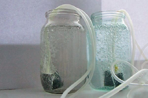 Aufwärmen der Samen