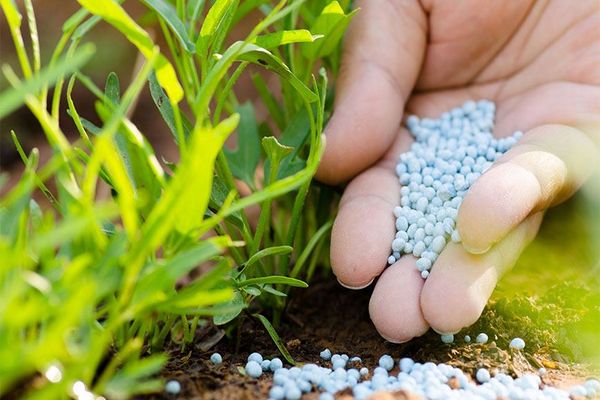 Dressing für Gurken