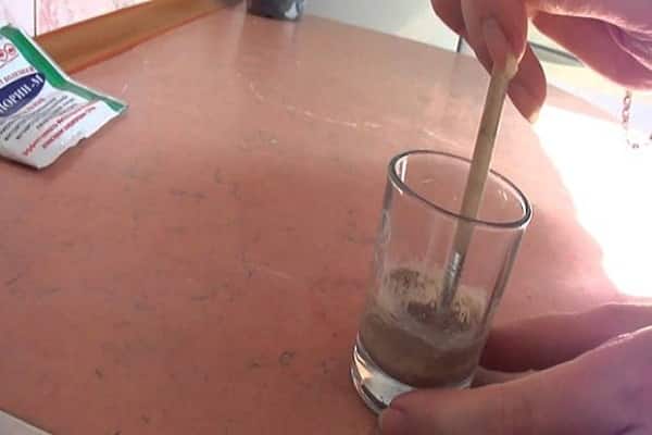 biofongicides naturels