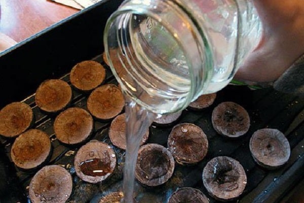 mit Wasser überflutet