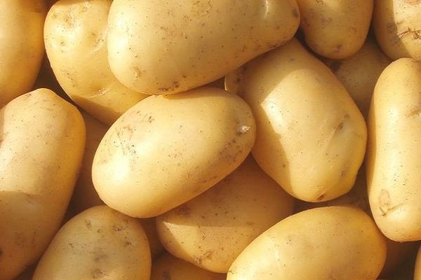 qualités gustatives