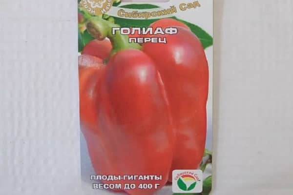  cassé sous le poids