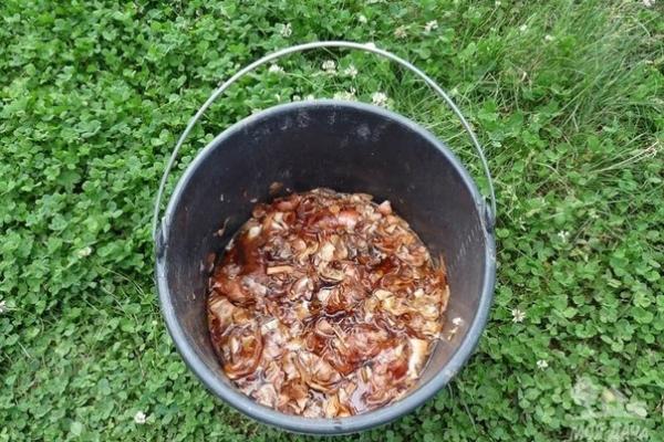 onion peel bucket