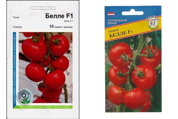 variété de tomate bellé