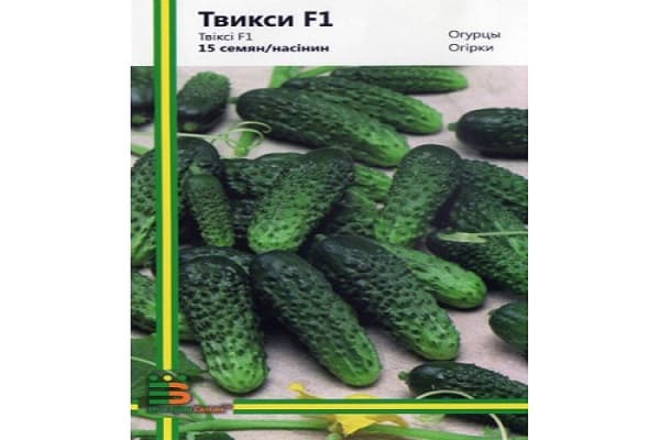 ultrareife Essiggurke