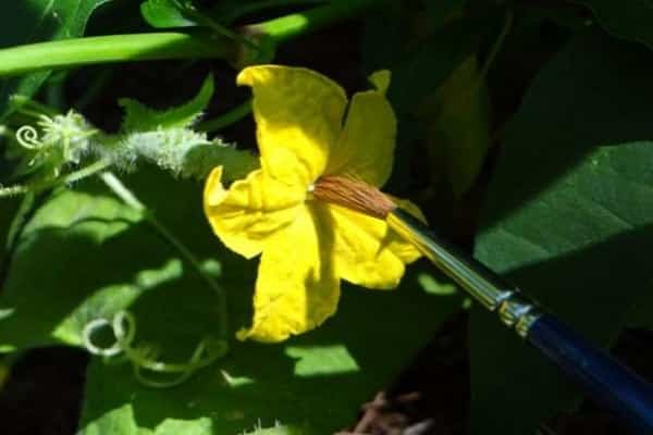 Starten Sie den Vorgang