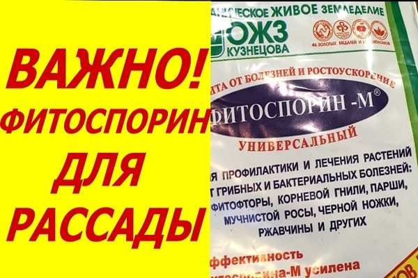 late blight treatment