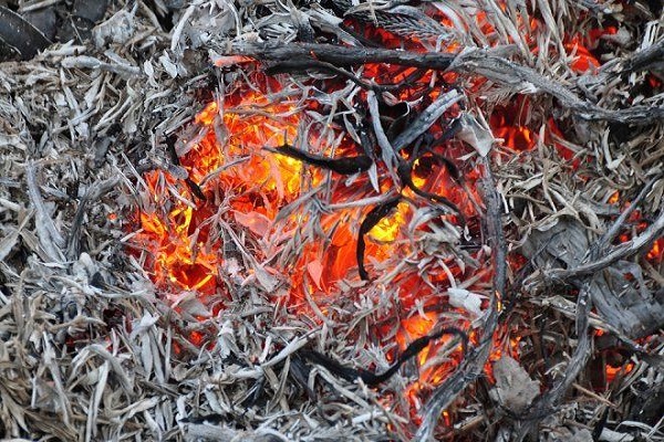 les charbons sont prêts