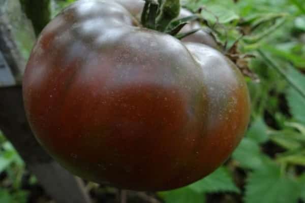 augmenter la résistance au stress