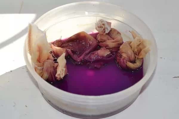 vorbereitende Vorbereitung